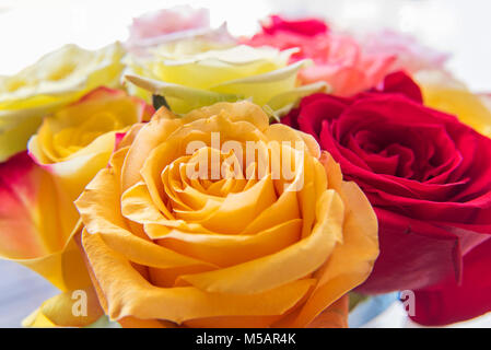 Nahaufnahme des bunten Rosen Blumenstrauß Stockfoto