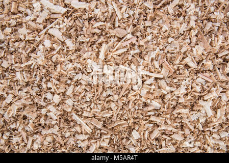 Holzspäne aus Eiche und Kiefer, Hintergrund, Textur, Kopie Raum Stockfoto