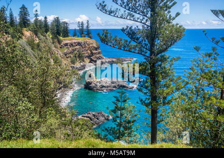 Norfolk Island, Australische externe Gebiet, Blick auf die Klippen an der Westküste der Insel aus der Welpe Punkt Stockfoto