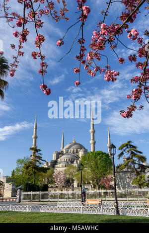 Die Fatih Moschee, der Eroberer Moschee, im Frühling, Istanbul, Türkei Stockfoto