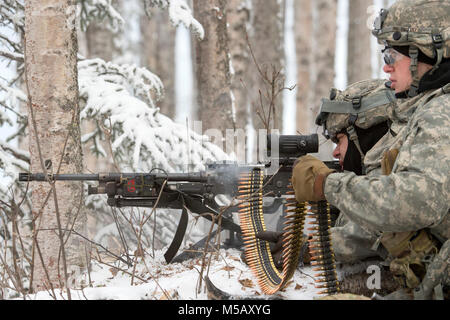 Soldaten zu Bajonett Unternehmen, 1.BATAILLON, 5 Infanterie Regiment, 1 Stryker Brigade Combat Team, 25 Infanterie Division, U.S. Army Alaska zugeordnet, die eine simulierte feindliche Position während des Betriebs der Punchbowl bei Joint Base Elmendorf-Richardson, Alaska, 10.02.2018. Betrieb der Punchbowl war ein Bataillon, kombinierte Waffen, Feuer, die auf Arktis Letalität konzentriert. Während der Operation drei 150-Soldat Unternehmen manövrierte durch abwechslungsreiches Gelände; angreifen und Fressen feindliche Stellungen sowie Beseitigung der wichtigsten Waffen und Fahrzeuge durch den Feind genutzt wird. (U.S. Air Force Stockfoto