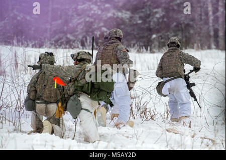 Bekämpfung der Ingenieure zu den 70th Brigade Ingenieur Bataillon zugeordnet, 1 Stryker Brigade Combat Team, 25 Infanterie Division, U.S. Army Alaska, gegen ein Hindernis beim Betrieb der Punchbowl bei Joint Base Elmendorf-Richardson, Alaska, 10.02.2018. Betrieb der Punchbowl war ein Bataillon, kombinierte Waffen, Feuer, die auf Arktis Letalität konzentriert. Während der Operation drei 150-Soldat Unternehmen manövrierte durch abwechslungsreiches Gelände; angreifen und Fressen feindliche Stellungen sowie Beseitigung der wichtigsten Waffen und Fahrzeuge durch den Feind genutzt wird. (U.S. Air Force Stockfoto