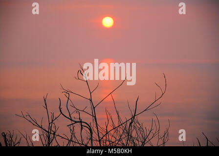 Die Lyme Bay, Dorset. 21. Februar 2018 - ein wunderschöner Sonnenuntergang über die Lyme Bay, von der Isle of Portland in Dorset Credit gesehen: stuart Hartmut Ost/Alamy leben Nachrichten Stockfoto