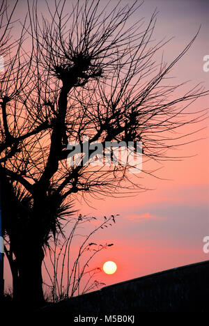 Die Lyme Bay, Dorset. 21. Februar 2018 - ein wunderschöner Sonnenuntergang über die Lyme Bay, von der Isle of Portland in Dorset Credit gesehen: stuart Hartmut Ost/Alamy leben Nachrichten Stockfoto