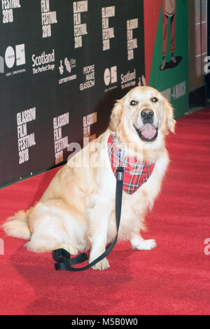 Glasgow, Schottland, Großbritannien. 21. Februar, 2018. VisitScotland's 'Ambassadog", George, auf dem roten Teppich ein Foto für die UK Film Premiere der Insel der Hunde, an der Glasgow Film Theatre (GFT), Schottland. Dieses Screening ist Teil der Gala Strand an der Glasgow Film Festival 2018 (GFF), die zwischen dem 21. Februar und 4. März 2018 läuft. Iain McGuinness/Alamy leben Nachrichten Stockfoto