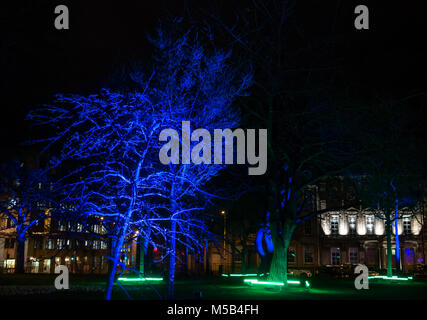 Edinburgh, Schottland, Vereinigtes Königreich, 21. Februar 2018. Nacht Licht zeigt im Zentrum von Edinburgh "Edinburgh Lumen', erstellt und von dem NL Produktionen für die Stadt Edinburgh Rat produziert. Die Displays sind in drei Orten im Stadtzentrum. In St Andrew Square, 'Serenity Gärten", jeder Teil der Garten mit Bäumen, Wasserflächen, Gebüsch in der Melodie mit beruhigender Musik beleuchtet werden. Ein Strauch, beleuchtet mit lila Beleuchtung Stockfoto