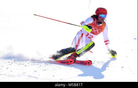 Pyeongchang, Südkorea. 22. Februar, 2018. Manuel Feller (AUT). Mens slalom. Das Yongpyong-resort Alpine Center. Alpensia. Pyeongchang 2018 Winter Olympics. Republik Korea. 22.02.2018. Credit: Sport in Bildern/Alamy leben Nachrichten Stockfoto