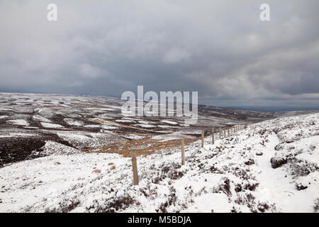 Moorland zwischen Swaledale und Wensleydale im Winter, in den Yorkshire Dales, Großbritannien Stockfoto