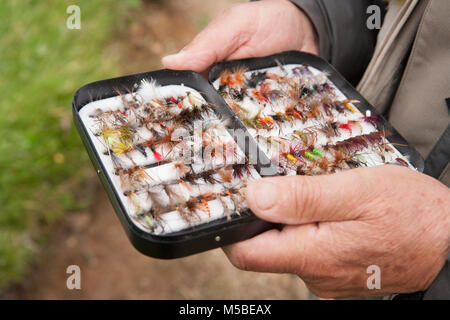 Eine Fliege Fischer die Wahl eines Fliegen von seiner fly Box für Put bestückt und Regenbogenforelle auf ein Reservoir. England UK GB Stockfoto