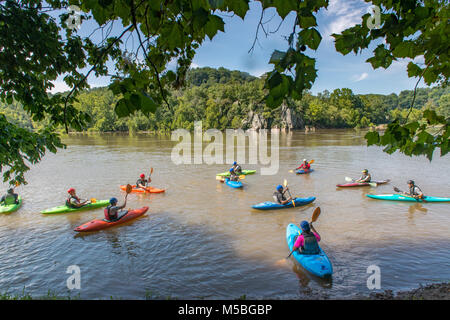 Eine Gruppe von kajakfahrer entlang des Potomac River an grosse Fälle Stockfoto