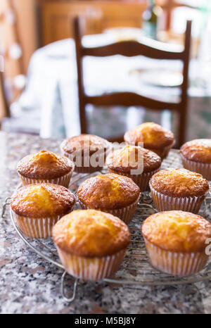 Batch an hausgemachten frisch gebackenen Kuchen oder Muffins Kühlung auf einem Regal in der Küche in der Nähe zu sehen, mit selektiven Fokus. Defokussierten blurry Ba Stockfoto