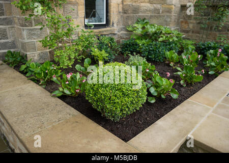 Kleine Ecke des schönen, gepflegten, privaten Garten mit zeitgenössischem Design, gepflasterte Terrasse, Grenze Sträucher und Pflanzen durch Haus-Yorkshire, England, UK. Stockfoto