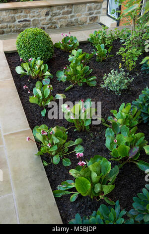 Kleine Ecke des schönen, gepflegten, privaten Garten mit zeitgenössischem Design, gepflasterte Terrasse, Sträucher und Pflanzen an der Grenze - Yorkshire, England, UK. Stockfoto