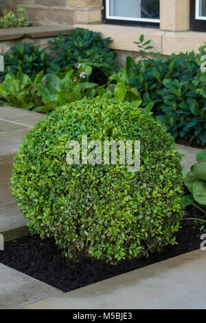 Kleine Ecke des schönen, gepflegten, privaten Garten mit zeitgenössischem Design, gepflasterte Terrasse, grünen Sträuchern und Pflanzen an der Grenze - Yorkshire, England, UK. Stockfoto