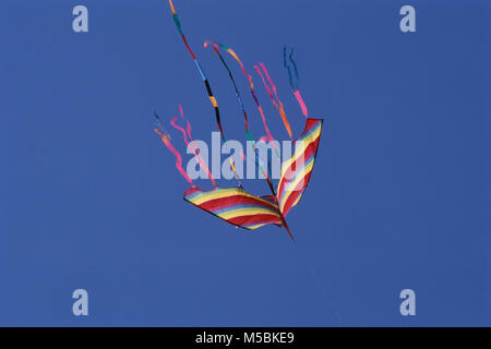 Drachen fliegen auf Kite Festival, Shivaji Park, Mumbai, Maharashtra, Indien Stockfoto