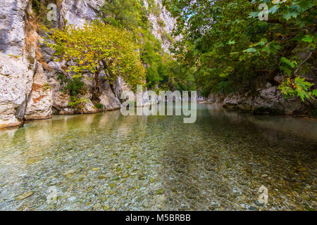 Natürliche Bäume, Vegetation, Felsen am Acheron Fluss in Griechenland Stockfoto