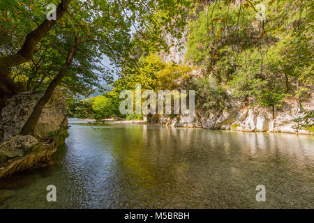 Bäume und die natürliche Vegetation in Acheron Fluss in Griechenland Stockfoto