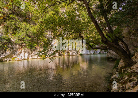 Natürliche Baum hängen in Acheron Fluss in Griechenland, Wasser und grüne Vegetation Stockfoto