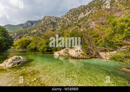 Acheron Riverbed in Griechenland, natürlichen, grünen Vegetation, Wald Stockfoto