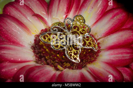 Gold Schmetterling auf raine Blume
