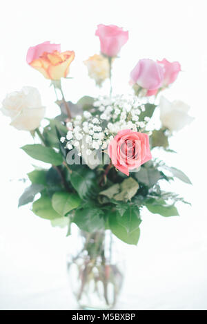 Rose Bouquet auf weißem Hintergrund Stockfoto