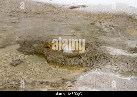 Blasen der Ausbrechenden hot springs Wasser in kleinen Geysir in Upper Geyser Basin im Yellowstone Nationalpark, Wyoming im Winter. Stockfoto