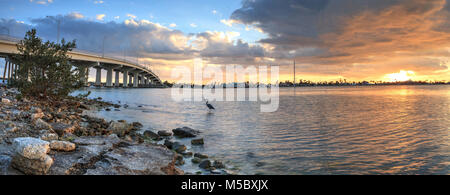 Great Blue heron Ardea Herodias steht im Wasser, wie die Sonne über der Brücke Fahrbahn, Reisen auf Marco Island, Florida. Stockfoto