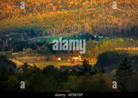 Die malerische Landschaft von einem alten Bauernhof mit Scheune, Silo, Felder und Vieh nach Herbst Wald Farben in Landaff, NH, USA umgeben. Stockfoto