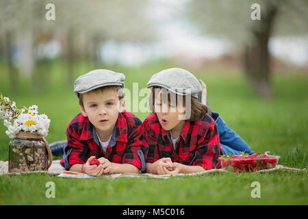 Zwei Kinder, junge Brüder, ein Buch zu lesen und Essen Erdbeeren im Frühjahr blühenden Garten park Stockfoto