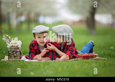 Zwei Kinder, junge Brüder, ein Buch zu lesen und Essen Erdbeeren im Frühjahr blühenden Garten park Stockfoto