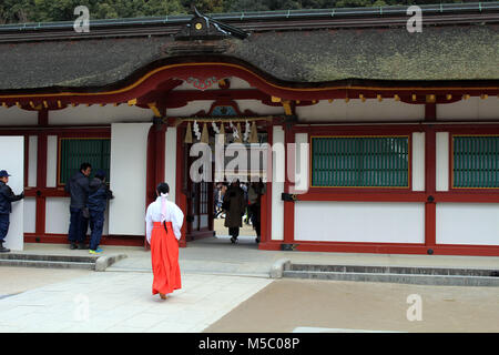 Eine Priesterin (Miko) um Dazaifu Tenmangu, Fukuoka, Japan. Im Februar 2018 übernommen. Stockfoto