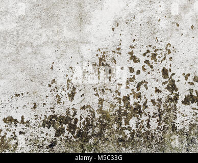 Detail eines alten Grunge wand Textur Stockfoto