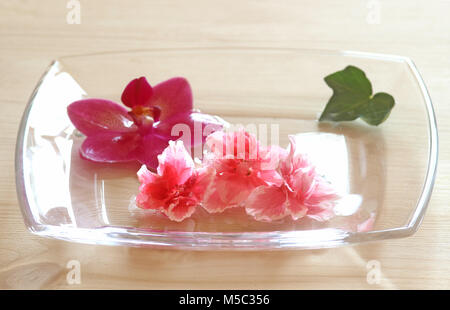 Floral background, Rosa gardenia und Orchidee Blüten in einer Glasschale Stockfoto