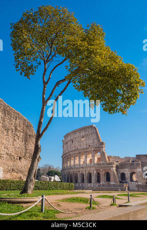 Die Römischen Kolosseum vom Palatin in Rom, Italien Stockfoto
