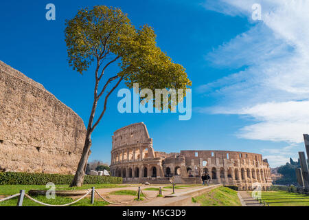 Kolosseum vom Palatin in Rom, Italien Stockfoto