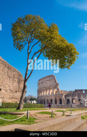 Die Römischen Kolosseum vom Palatin in Rom, Italien Stockfoto