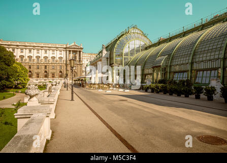 Palmenhaus in Wien, Österreich Stockfoto