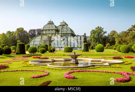 Schloss Schönbrunn Palm Pavilion (alte green house) auf dem Gelände des Palastes, Wien, Österreich Stockfoto