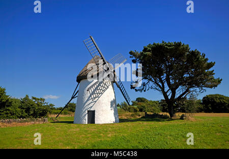 Das strohgedeckte Mühle wurde im Jahre 1846 erbaut. Es war bis 1936, dem letzten kommerziellen Windmühle in der Republik Tacumshane, County Wexford, Irland verwendet Stockfoto