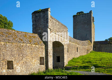 Gateway in die Wände um Überreste der aus dem 15. Jahrhundert St Mary's Augustian Priorat, Kells, County Kilkenny, Irland Stockfoto