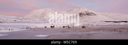 Eine Farbe panorama bild von Rannoch Moor. Dies war auf einem Winter morgen auf den Schwarzen Berg reichen von der West Highland Way wandern Route Stockfoto