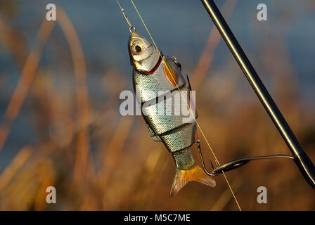 Close-up auf einem schönen Fischen lure Stockfoto