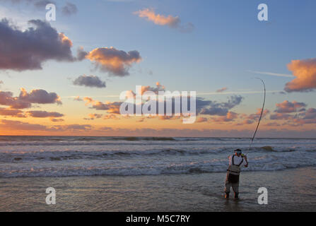 Surf Fischer kämpfen ein Fisch am Strand, Angeln Szene. Die Stange verbiegen Stockfoto