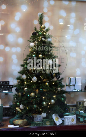 Weihnachten Fenster Anzeige an Haighs Schokolade Shop im Block Arcade Stockfoto