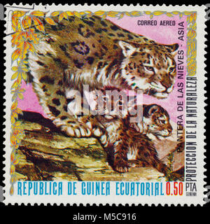 BUDAPEST, Ungarn - 07. Februar 2018: Stempel im Äquatorialguinea gedruckt zeigt Snow Leopard oder Unze (Panthera uncia), ca. 1976 Stockfoto