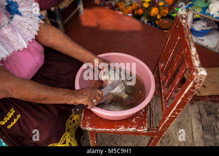 Eine Frauen reinigt ein weisser Fisch in der Nähe der Insel Janitzio während Dia de los Muertos (Tag der Toten) feiern in See Patzcuaro, in der Nähe von Patzcuaro, Michoacán, Mexiko am Samstag, 1. November 2014 gefangen. Dia de los Muertos (Tag der Toten) ist ein traditionelles Urlaub um erinnern und würdigt verstorbenen Familienmitglieder zentriert. Weit davon entfernt, eine düstere Angelegenheit, Dia de los Muetros ist eine Feier des Lebens. Patzcuaro, einer malerischen Stadt im Bundesstaat Michoacán, Mexiko (sieben Stunden westlich von Mexiko Stadt), zieht Touristen aus der ganzen Welt in den Tagen vor dem Dia de los Muertos. Stockfoto