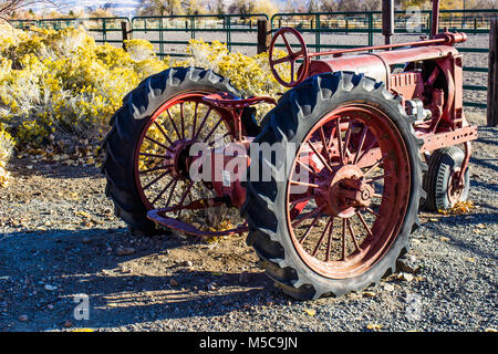 Vintage Orange Traktor im Morgenlicht Stockfoto