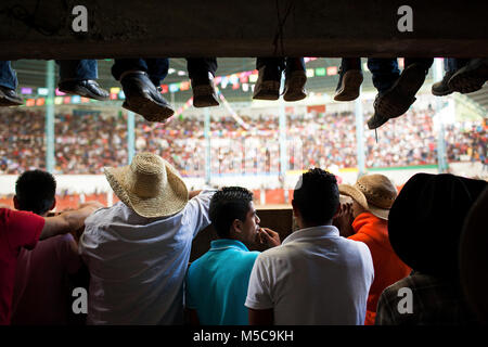 Die Menschen sehen den Fall fiesta Rodeo im Cheran, Michoacán, Mexiko am Dienstag, 7. Oktober 2014. Die Stadt Cheran hält jährlich zwei Fiestas, die ihre Kultur und religiösen Überzeugungen zu feiern. Im April 2011, nach Jahren der Erpressung durch die Kartelle und Selbstgefälligkeit der lokalen Regierung und der Polizei, die Leute von Cheran, ihre Stadt und ihr Land zurück. Das Pueblo (als Menschen oder Gemeinschaft übersetzt) Das Kartell konfrontiert, entfernt die Regierung aus dem Amt, und erstellt ihre eigene Polizei, um die Stadt zu schützen. Stockfoto