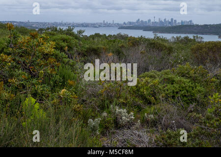 Blick auf die Stadt vom Shelly Beach in die Kaserne gehen - North Head Stockfoto