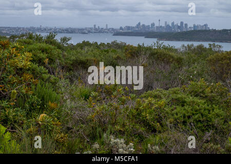 Blick auf die Stadt vom Shelly Beach in die Kaserne gehen - North Head Stockfoto